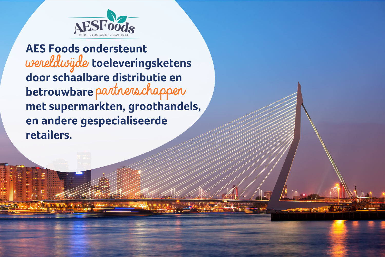 AES Foods ondersteunt wereldwijde toeleveringsketens door schaalbare distributie en betrouwbare partnerschappen binnen supermarkten, groothandels, gespecialiseerde retailers en zorg.