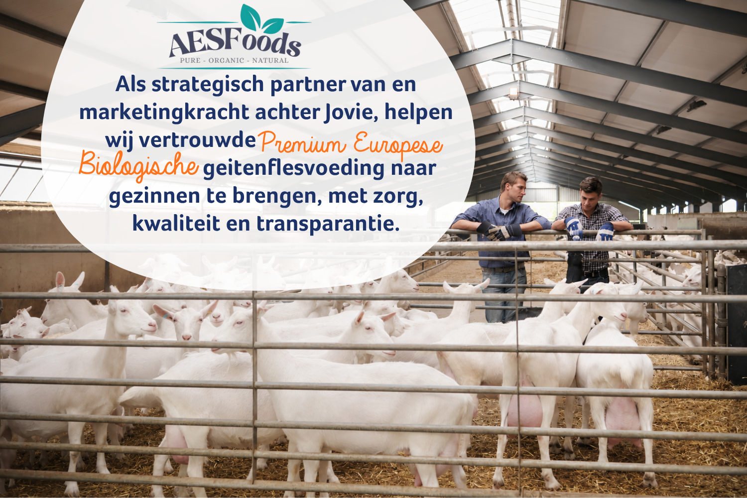 Als strategische partner en marketingkracht van Jovie helpen wij vertrouwde premium Europese biologische geitenflesvoeding naar gezinnen te brengen, met zorg, kwaliteit en transparantie.
