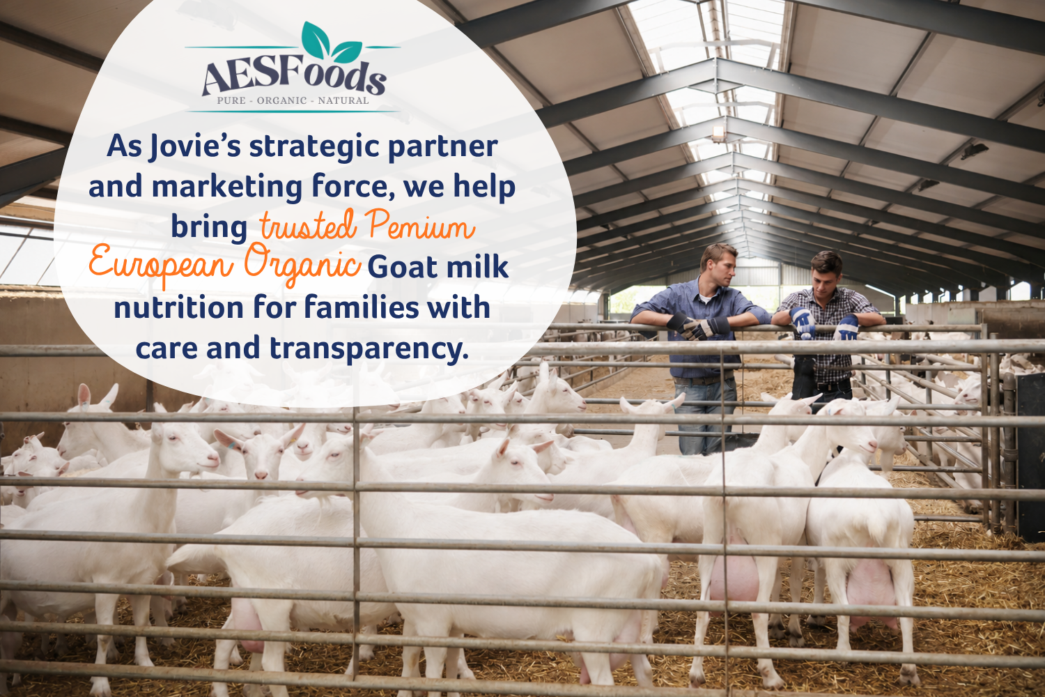 As Jovie's strategic partner and marketing force, we help bring trusted Premium European Organic Goat milk nutrition for families with care and transparency