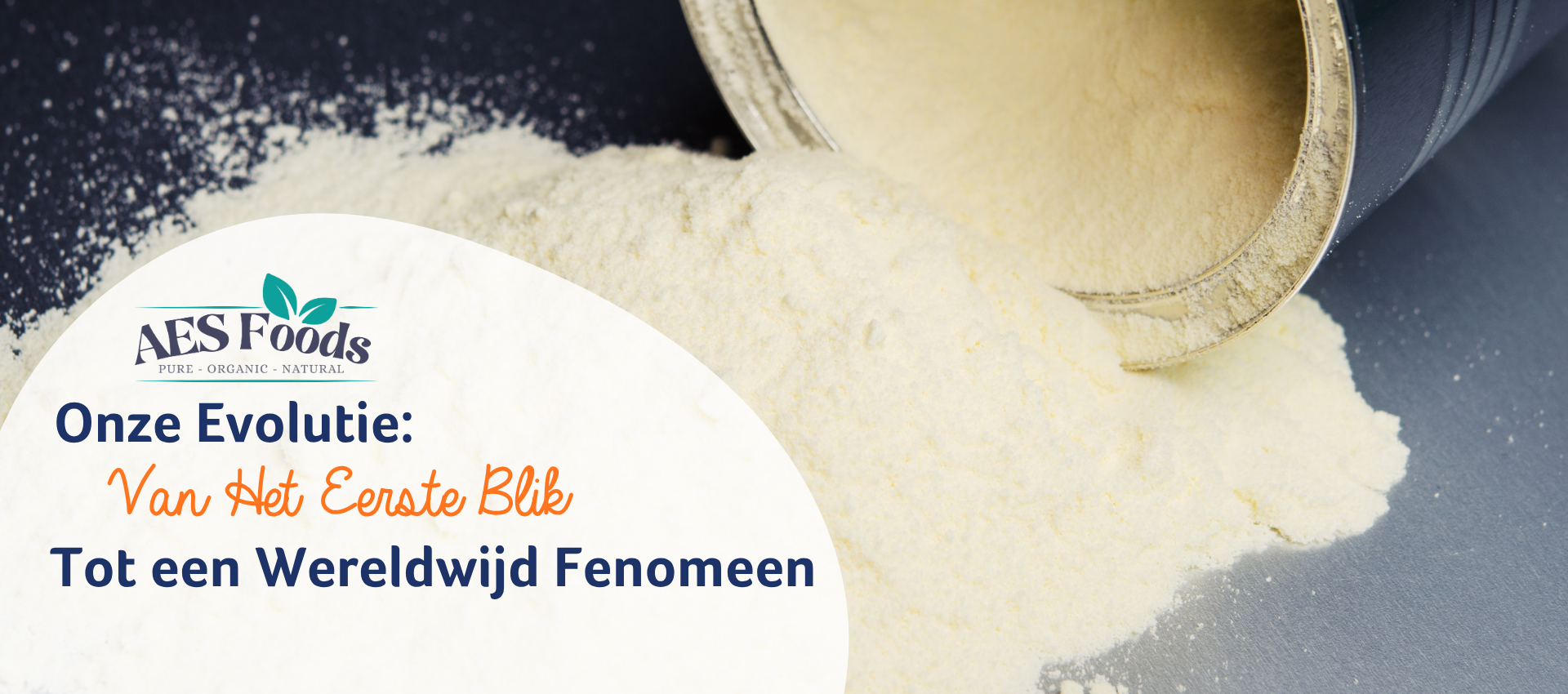 1/1 Onze evolutie: van het eerste blik tot een wereldwijd fenomeen