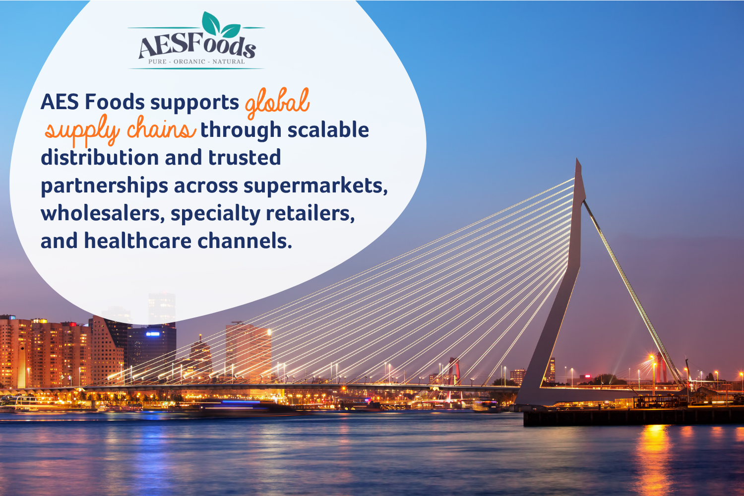 AES Foods supports global supply chain through scalable distribution and trusted partnerships across supermarkets, wholesalers, especially retailers, and healthcare channels.