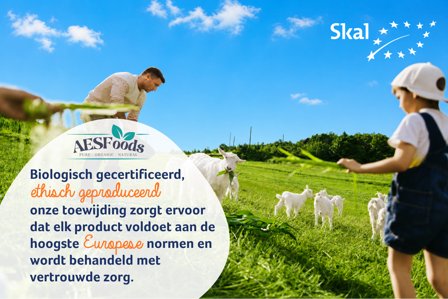 Biologisch gecertificeerd, ethisch geproduceerd: onze toewijding zorgt ervoor dat elk product voldoet aan de hoogste Europese normen en wordt behendeld met vertrouwde zorg.
