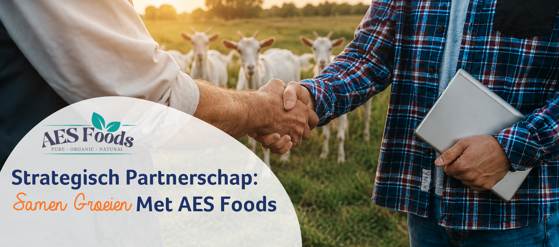 Strategisch Partnerschap: Samen Groeien Met AES Foods
