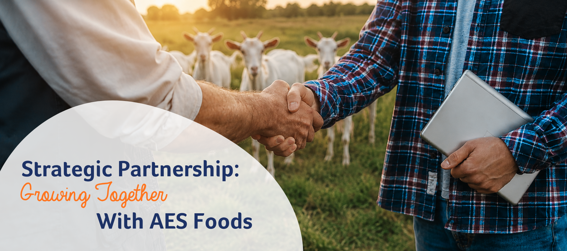 Strategic Partnership: Growing Together with AES Foods
