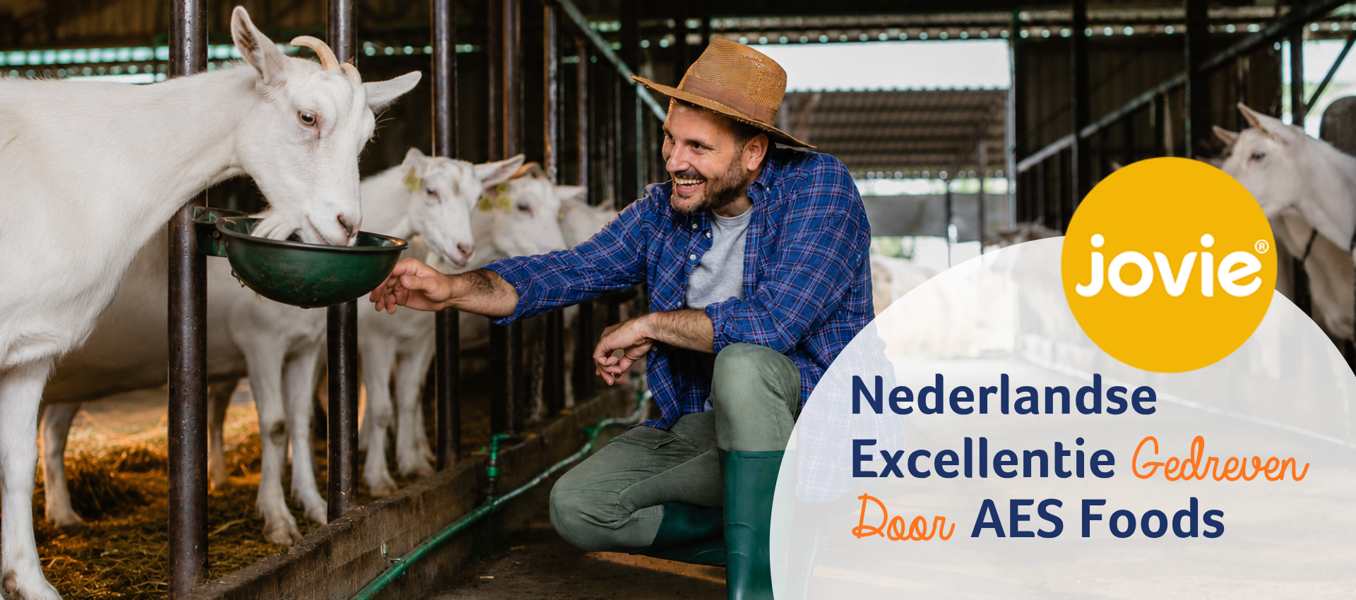 Nederlandse Excellentie Gedreven Door AES Foods