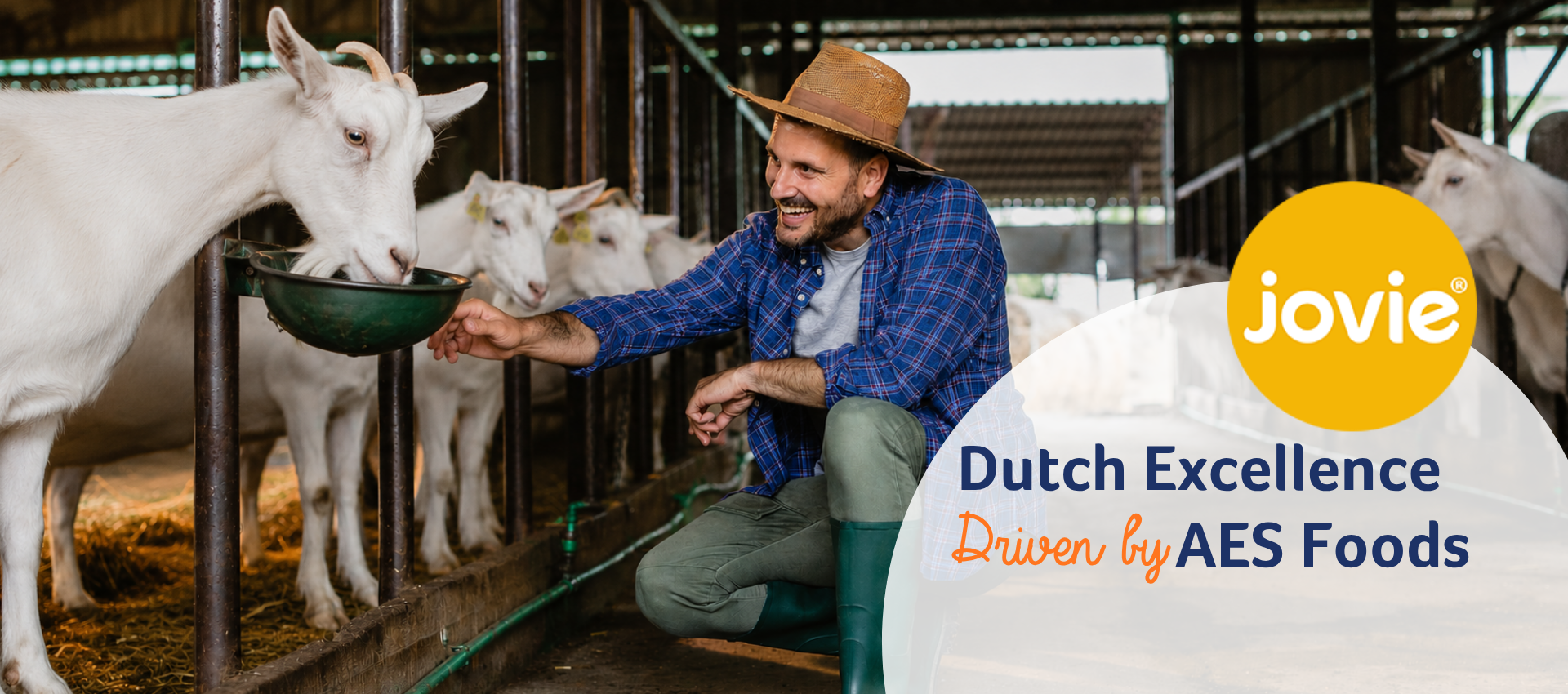 Dutch Excellence Driven By AES Foods