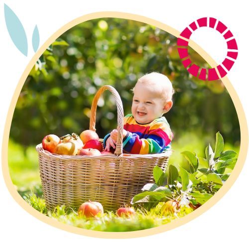 Certified European Organic: A Legacy of Purity